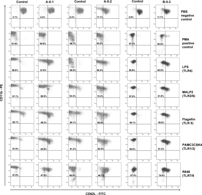 Figure 2