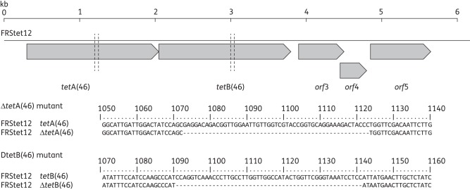 Figure 1.