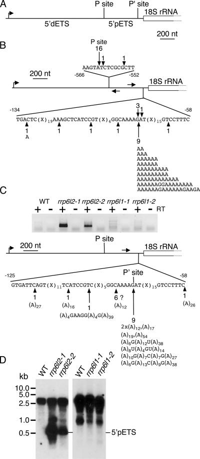 FIG. 5.