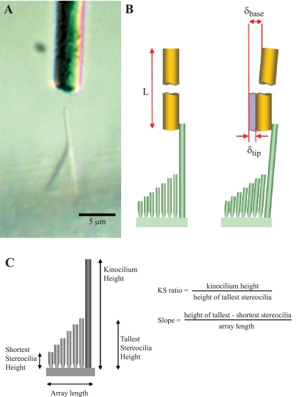 Fig. 2.