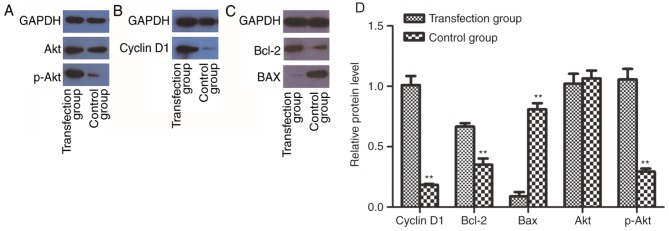 Figure 6.