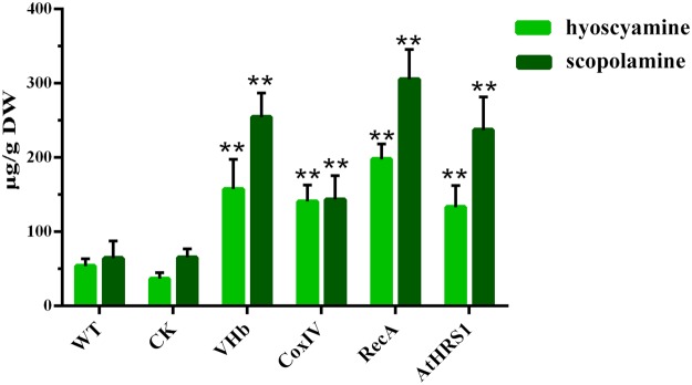 Figure 5