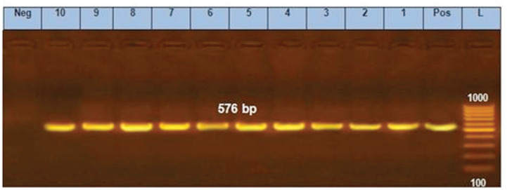 Figure 9.