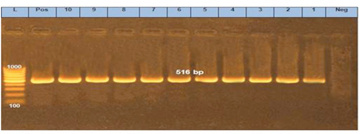 Figure 6.