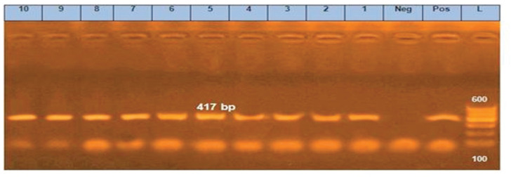 Figure 7.