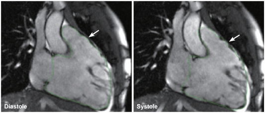 Fig. 8