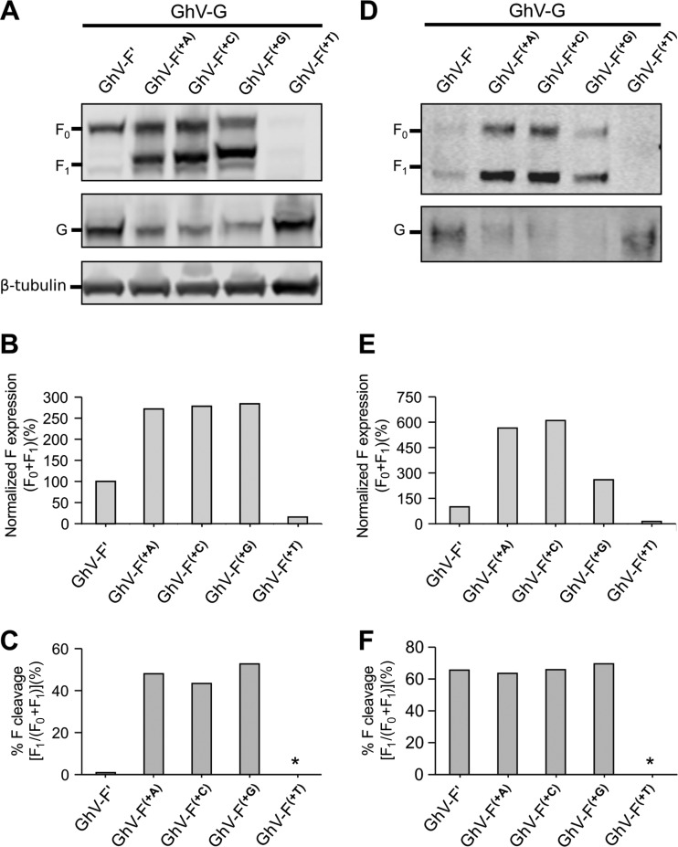 FIG 4