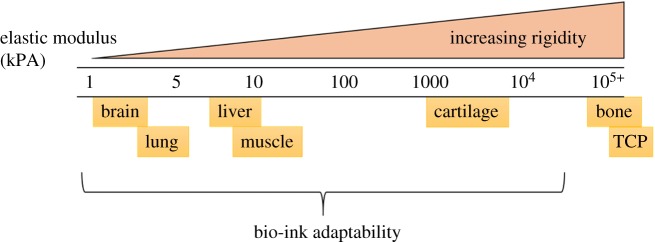 Figure 3.