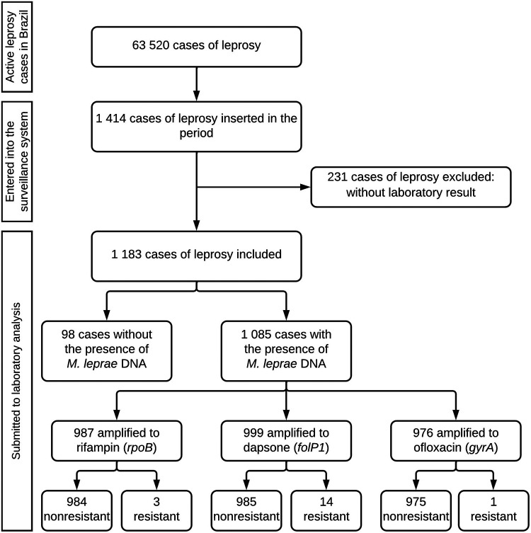 FIG 1