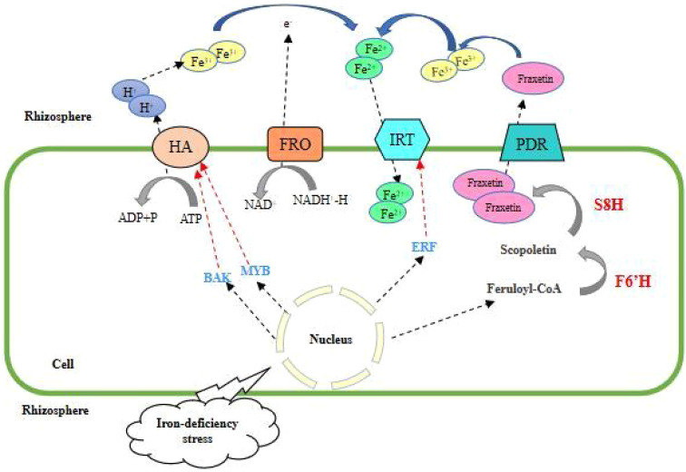 Figure 1