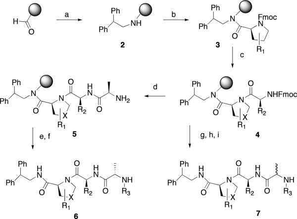 Scheme 1