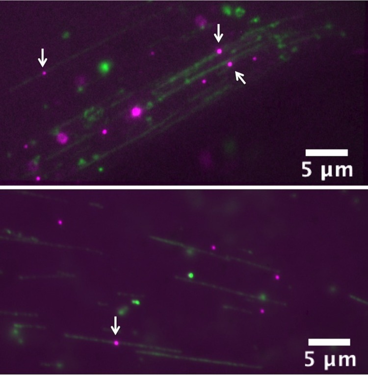 FIG. 4.