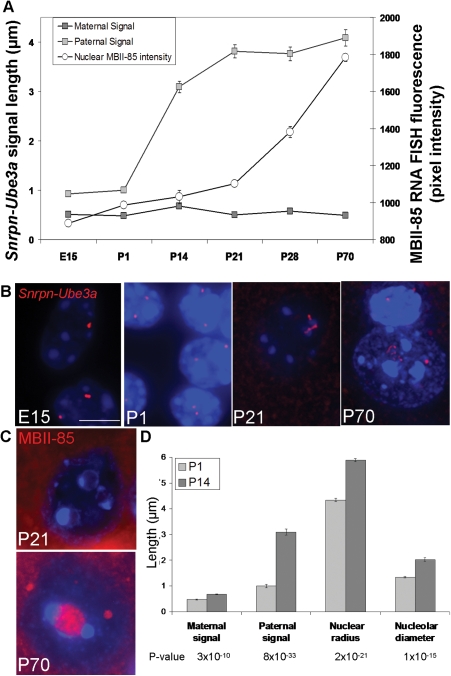 Figure 2.