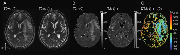 Fig. 1.