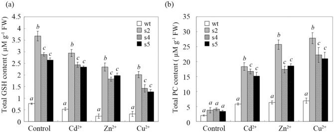 Fig 6