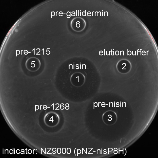 Figure 5