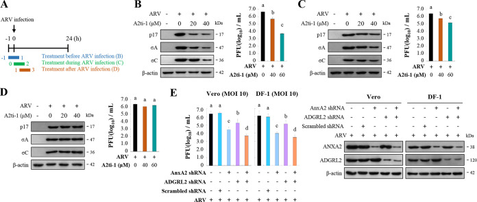 FIG 3