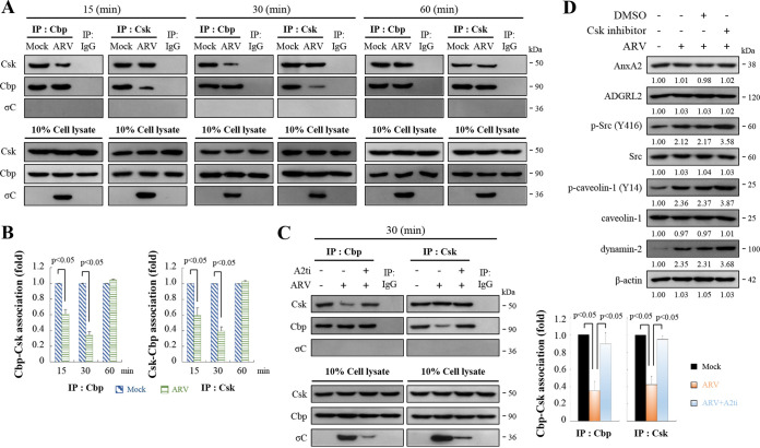 FIG 6