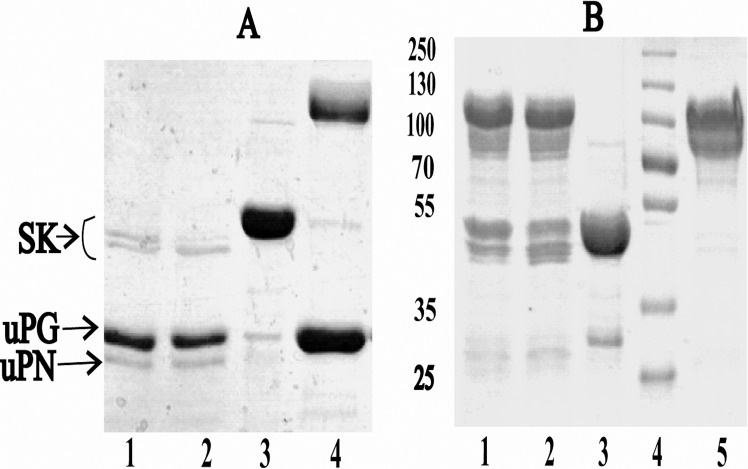 Fig 5