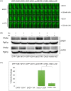 Fig 9