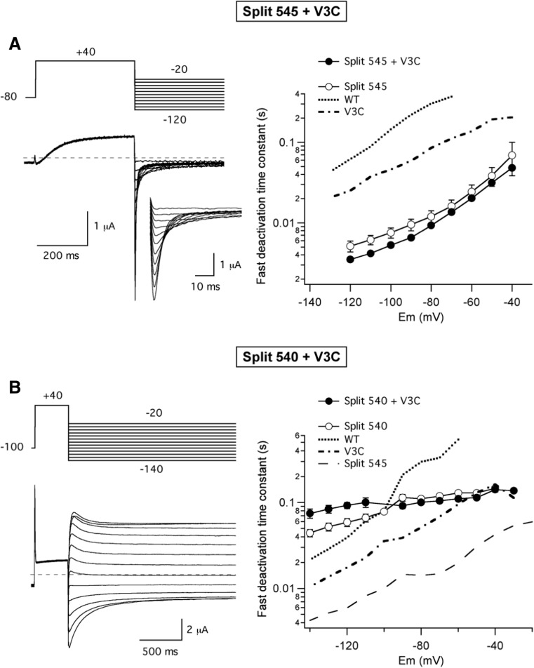 Fig. 5