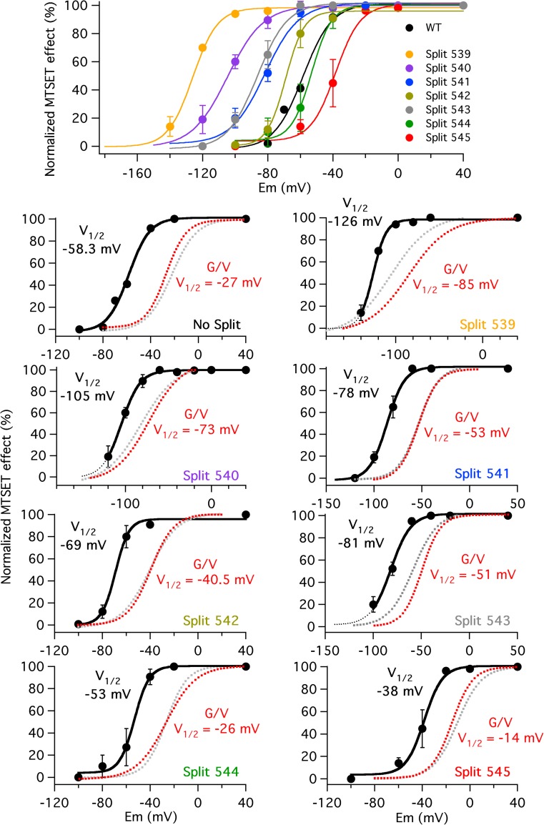 Fig. 7