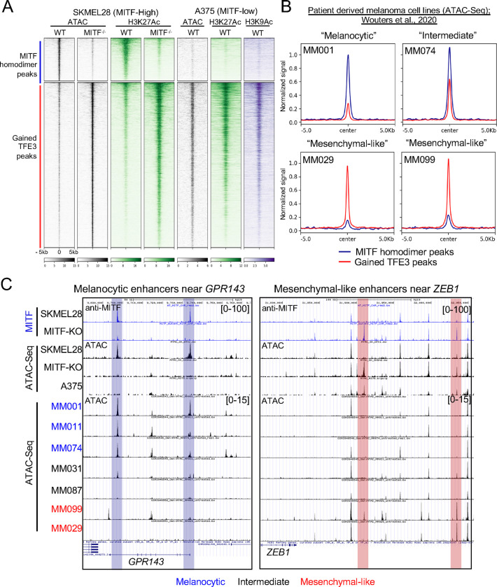 Figure 2: