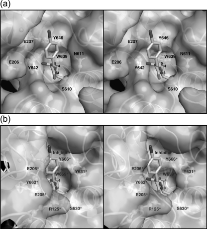 FIG. 5.