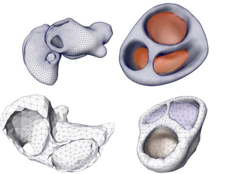 Fig. (6).