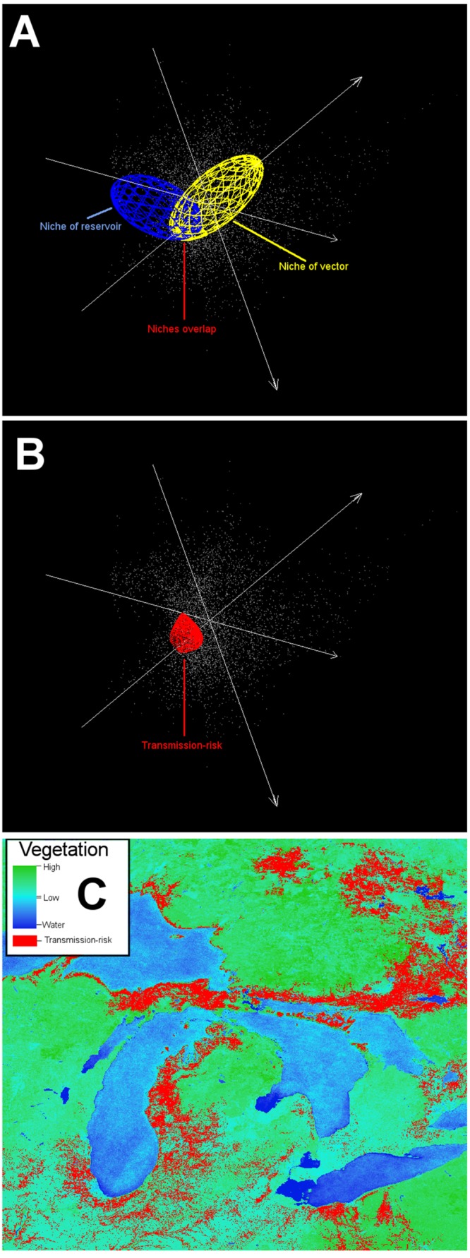 FIGURE 14