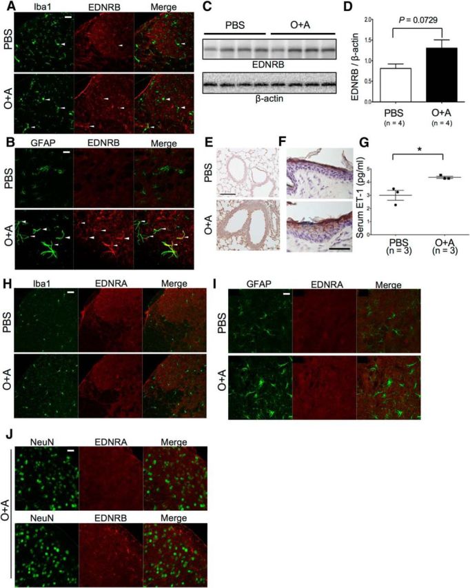 Figure 10.