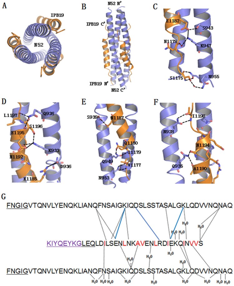 Figure 8.