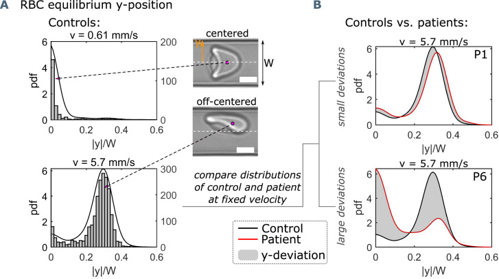 Figure 1—figure supplement 1.