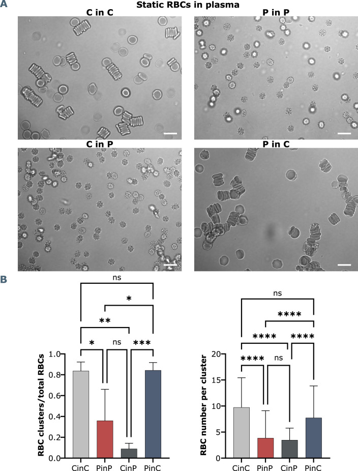 Figure 1—figure supplement 2.