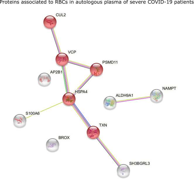 Figure 4—figure supplement 1.