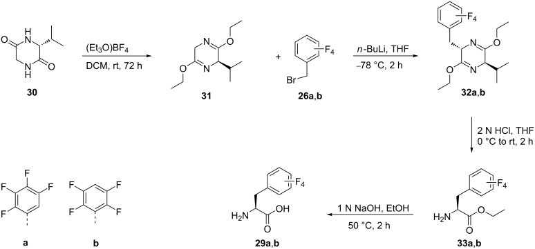 Scheme 7