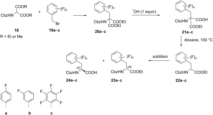 Scheme 5