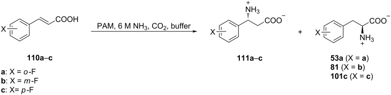 Scheme 25