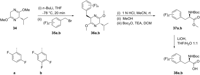 Scheme 8