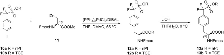 Scheme 3