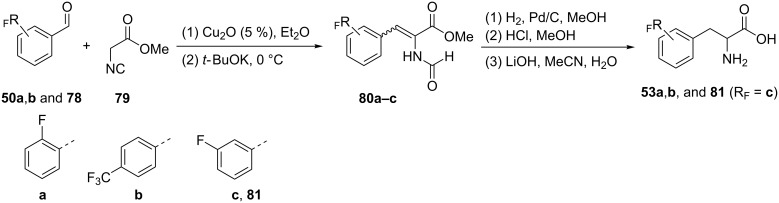 Scheme 19