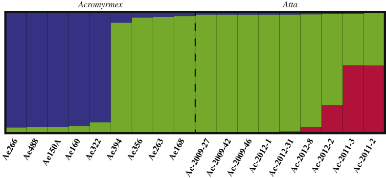 Fig. 4