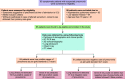 Flowchart 1