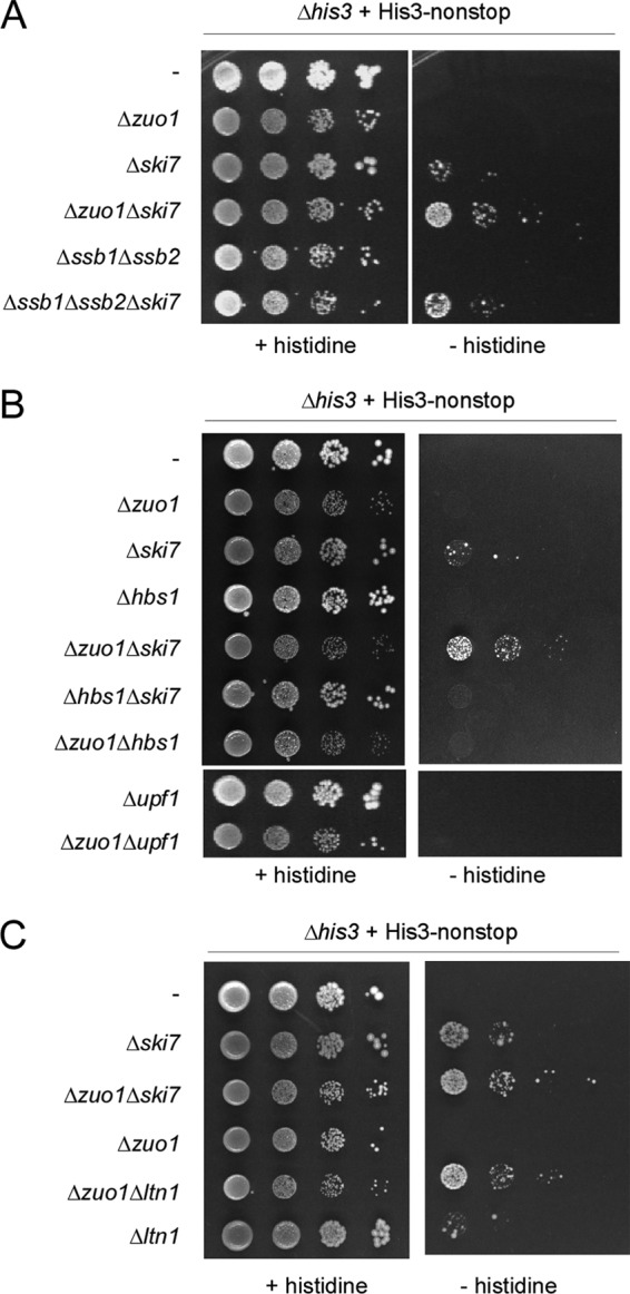 Fig 6