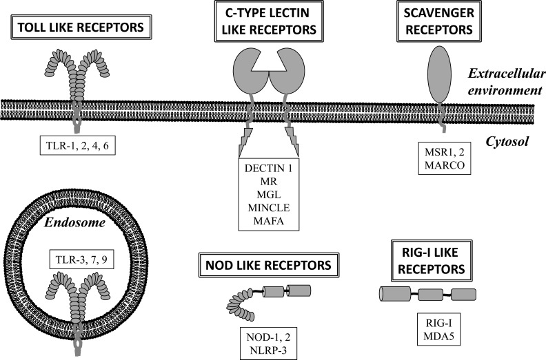 Fig. (1)