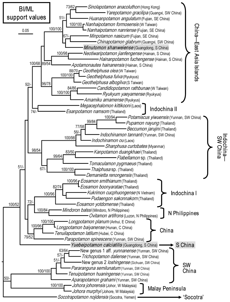 Figure 5.