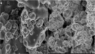 Fig. 14