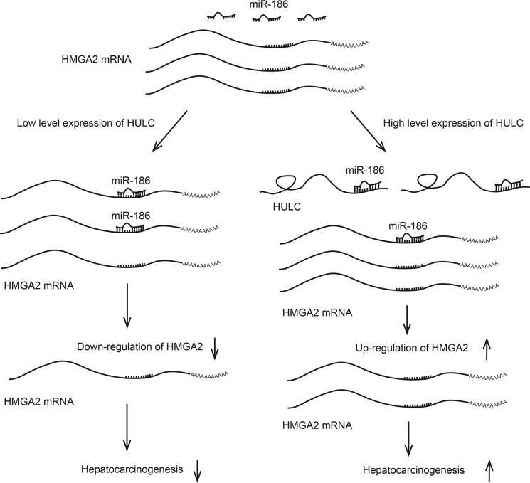 Figure 8.