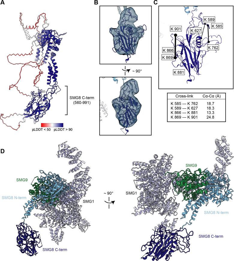 Figure 4—figure supplement 3.