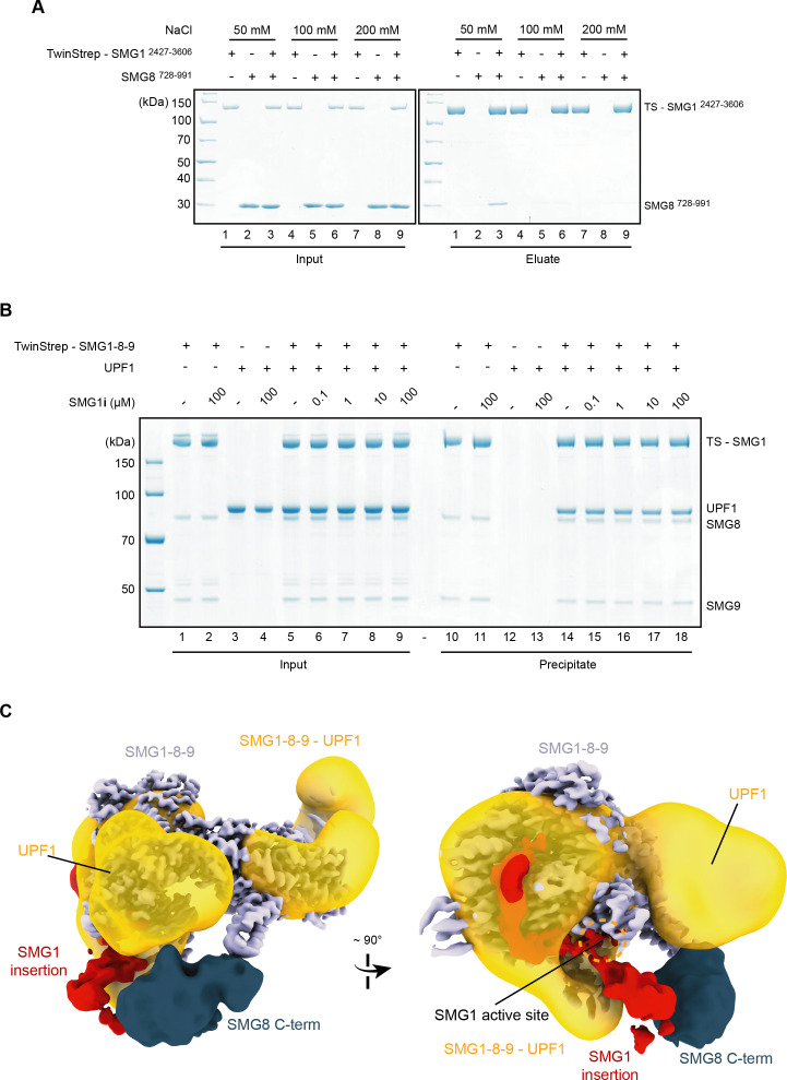 Figure 4—figure supplement 4.